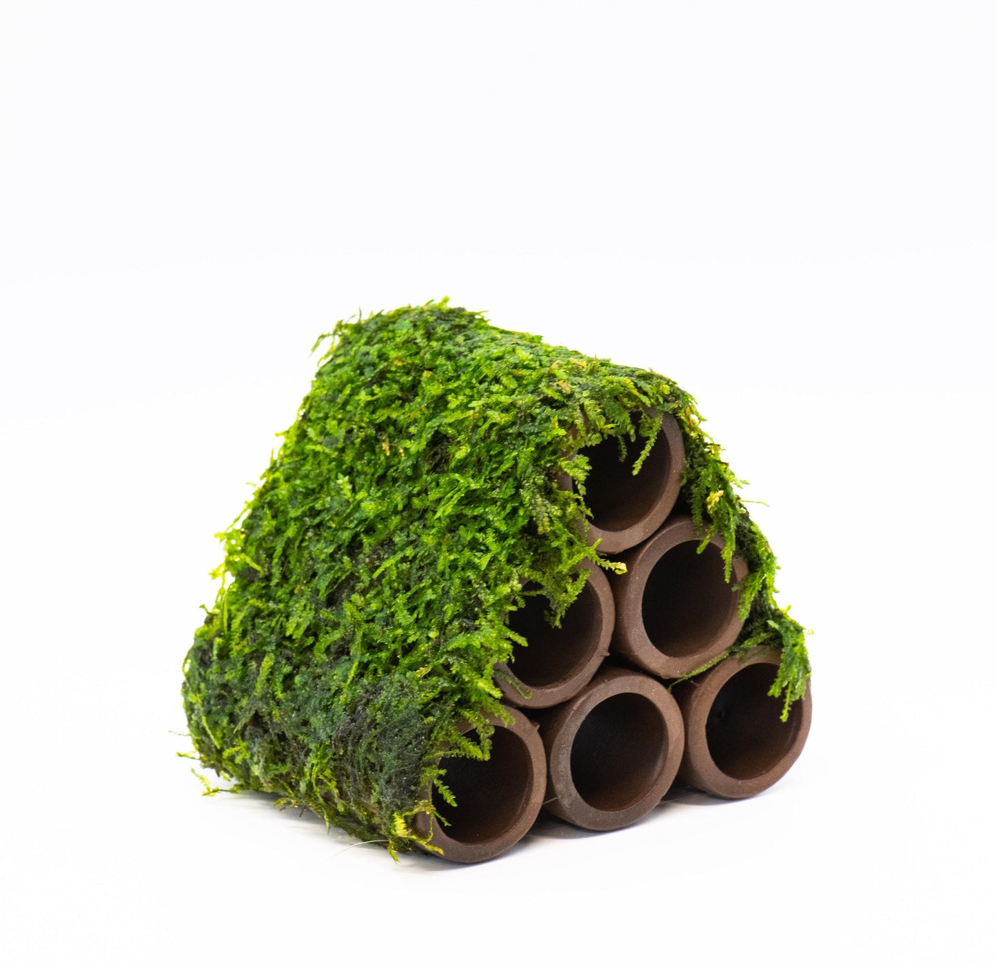 Aquarium Ceramic Shrimp Shelter, Breeding Cave With Live Moss (3inx3inx3in) - Live Aquarium Moss For Planted Shrimp Tank, Betta Tank Decor