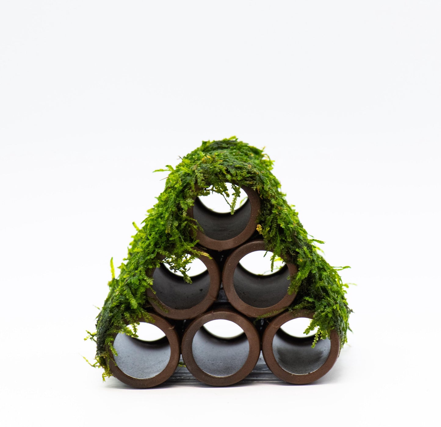 Aquarium Ceramic Shrimp Shelter, Breeding Cave With Live Moss (3inx3inx3in) - Live Aquarium Moss For Planted Shrimp Tank, Betta Tank Decor